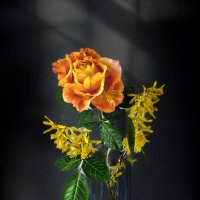 Эфемерная :: Галина Левина