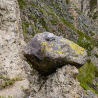 Каменные грибы 2 :: Константин Шабалин