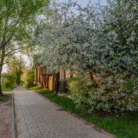 Город - цветущий сад :: Александр Филатов