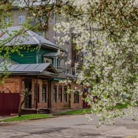 Город - цветущий сад :: Александр Филатов