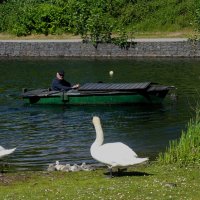 Майская идилия :: Владимир Манкер Майская идилия :: Владимир Манкер