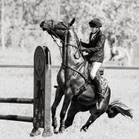 Конкур закидка :: SanSan 