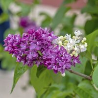 И в кого ты такая уродилась :: Валерий Иванович