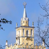 Фрагмент дома со шпилем. :: Виктор Иванович Чернюк