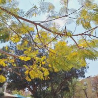 13  ОПЕН (36) :: OPEN WAYS ALL