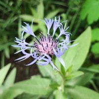 ,,, :: Сергей Тимоновский