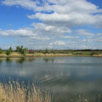 **** :: Виктор 