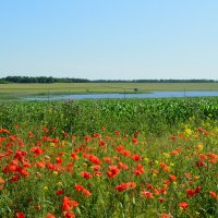 Ставропольское раздолье... :: Надежда Куркина Ставропольское раздолье... :: Надежда Куркина