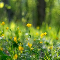 ___ :: Yuriy V ___ :: Yuriy V