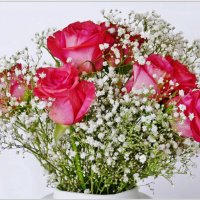 РОЗЫ... :: Elvira E. 