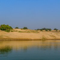 Песчаный берег реки Чамбал :: Георгий А