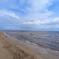 Чайка встречает... :: Мария Васильева