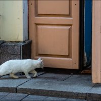 Что там, за дверью... :: Александр Тарноградский Что там, за дверью... :: Александр Тарноградский