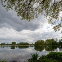 *** :: Николай Гирш