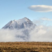 *** :: Марина Виноградова