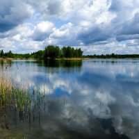 Природа Смоленщины :: Милешкин Владимир Алексеевич Природа Смоленщины :: Милешкин Владимир Алексеевич