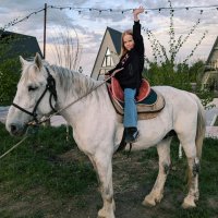 На коне :: Андрей Хлопонин