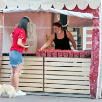 Свежие ягоды :: Валерий Судачок