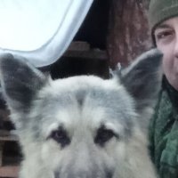 Пес :: Валерий