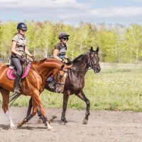 Всадницы :: SanSan 