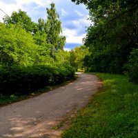 Чебоксары. Дорожка Ботанического сада. :: Пётр Чернега