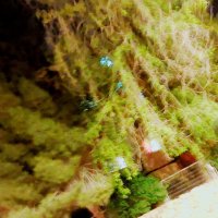 13  ОПЕН (38) :: OPEN WAYS ALL