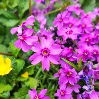 ,,, :: Сергей Тимоновский