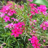 ,,, :: Сергей Тимоновский