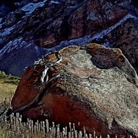 ПО ВЕРХАМ. :: Виктор Осипчук