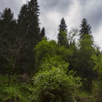 Прогулка по ущелью :: LudMila 