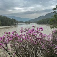 На Катуни...Весна :: владимир 