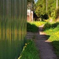 самые солнечные цветы... :: Любовь самые солнечные цветы... :: Любовь