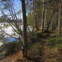 *** :: Галина Полина