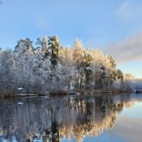 Зимнее утро. :: Галина Левина