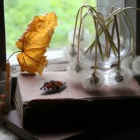 Натюрморт! :: жанна нечаева Натюрморт! :: жанна нечаева