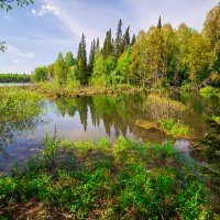 Карасевое место :: Сергей Винтовкин