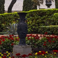 Хайфа,  Бахайские сады  Ваза 2025г :: ujgcvbif 