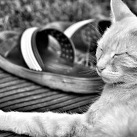 ..... :: Руслан 