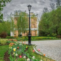 Про Питер :: Владимир Колесников