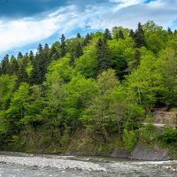 Река Белая :: Виктор Скаков