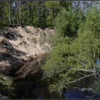 Весна :: Aleksandr Gal