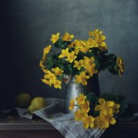 калужница... :: Natali-C C