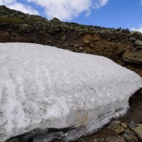 Июньский снег... :: Николай Гирш