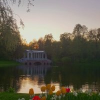 Весна :: Сапсан 