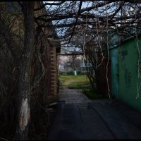 Вечер :: Петр 