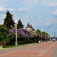 Весенняя Москва. Воробьевы горы. :: Наташа *****