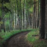 * :: Александр Иванов