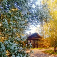 Весений день :: Сергей Кочнев