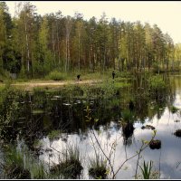На озере... :: Aleksandr Gal