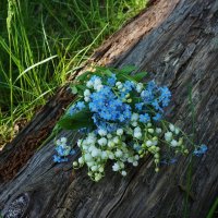 Очень нежный букетик :: Nataly St. 